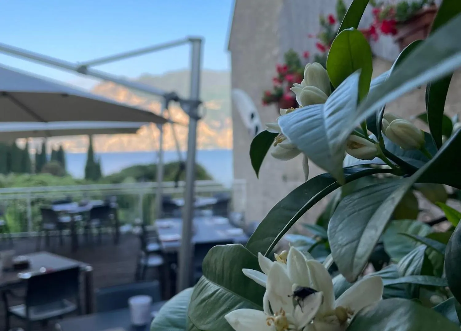 Hotel Roma Aparthotel Malcesine